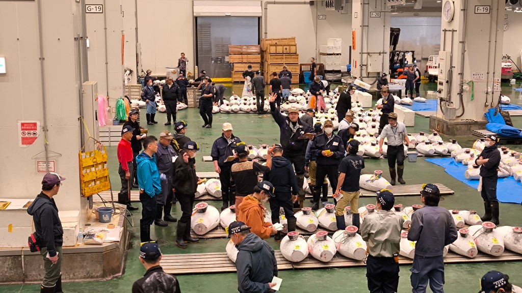 Asta del tonno al mercato del pesce di Toyosu
